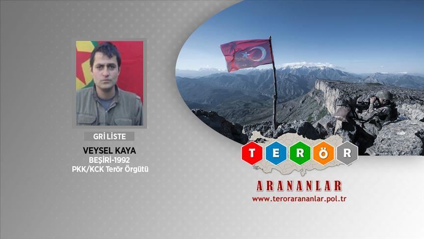 Turkey neutralizes wanted YPG/PKK terrorist