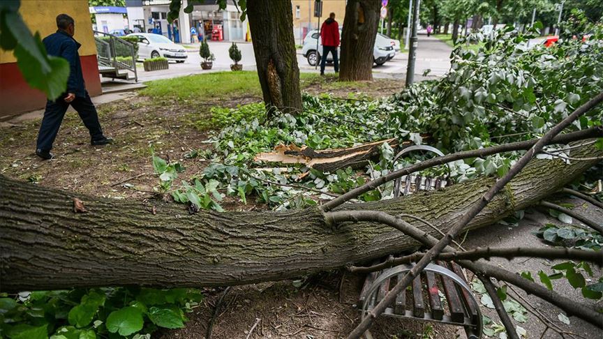 BiH: Vjetar obarao stabla u Banjaluci 