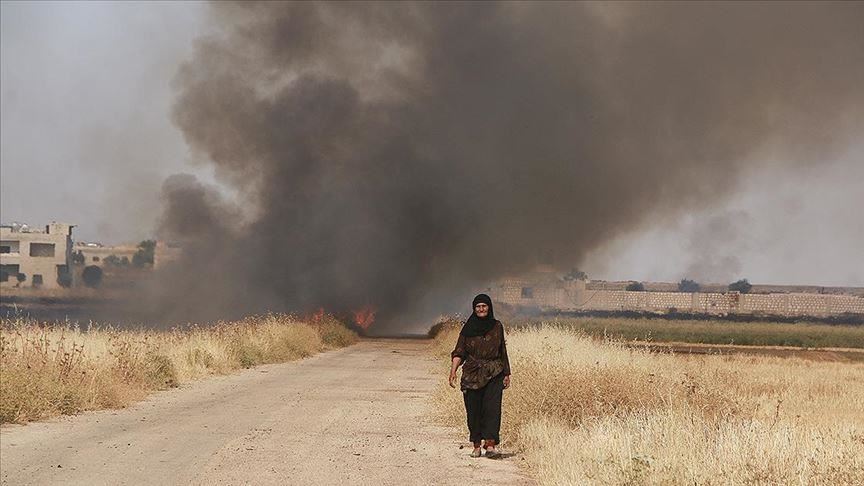 Assad regime burning crops in Syria