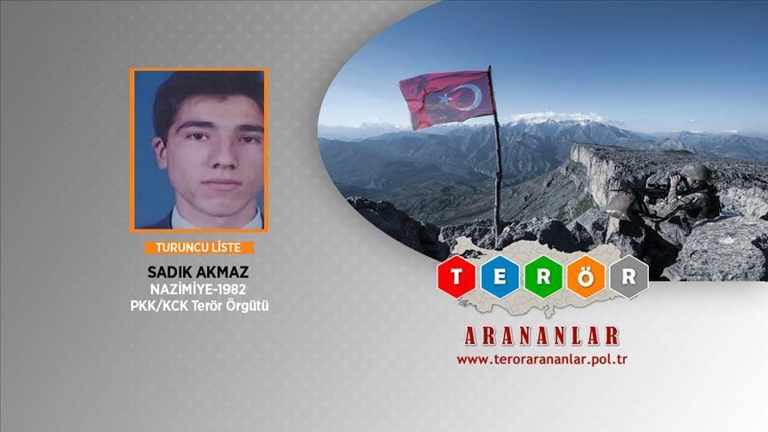 Turkish security forces neutralize wanted PKK terrorist