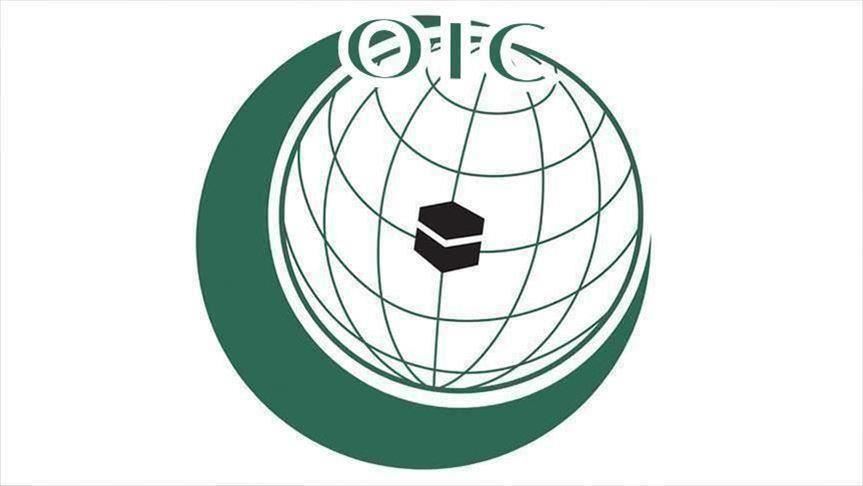 OIC emergency meeting discusses Israeli annexation plan