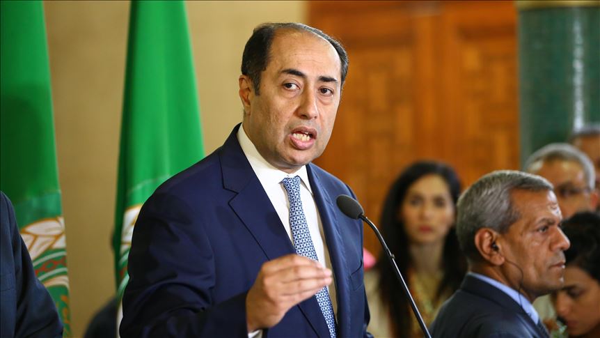 Libya's Tripoli gov't legitimate: Arab League official