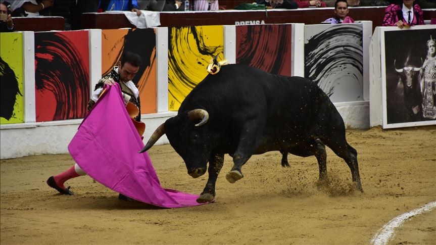 Bogotá lidera una nueva batalla jurídica para poner fin a las corridas de toros en Colombia