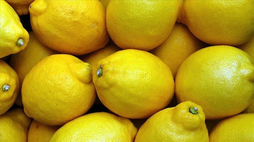 Экспорт цитрусовых из южных районов Турции бьет рекорды