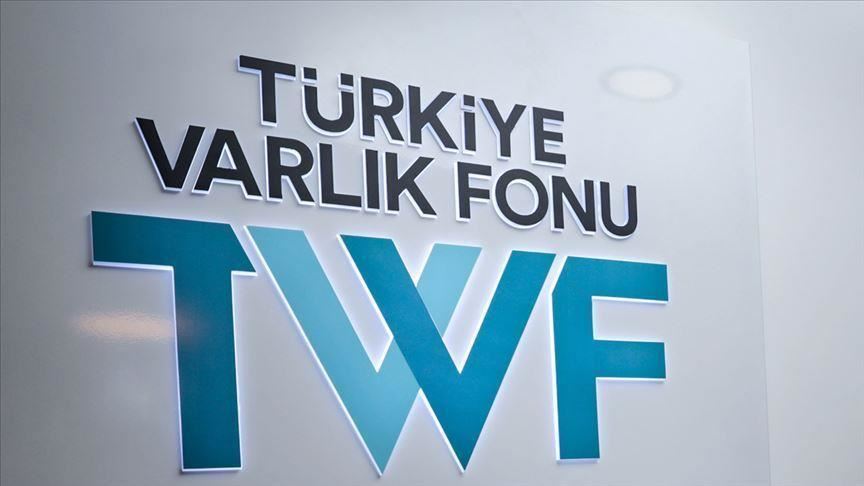 Фонд национального благосостояния Турции приобрел 26,2% акций Turkcell