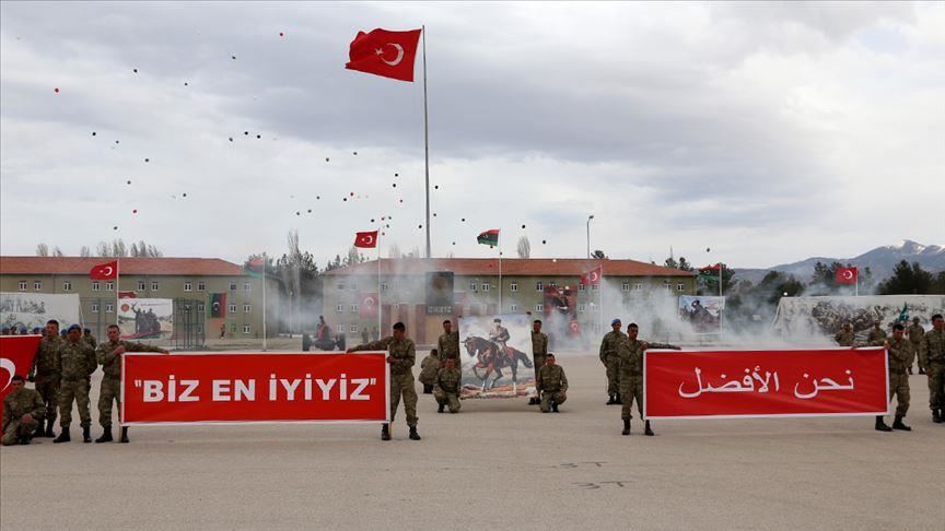 АНАЛИТИКА - Успехи Турции усилили борьбу за влияние в Ливии