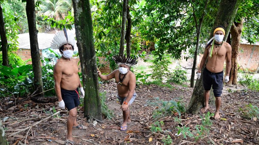 Covid 19 Deforestation Cripple Life In Amazon