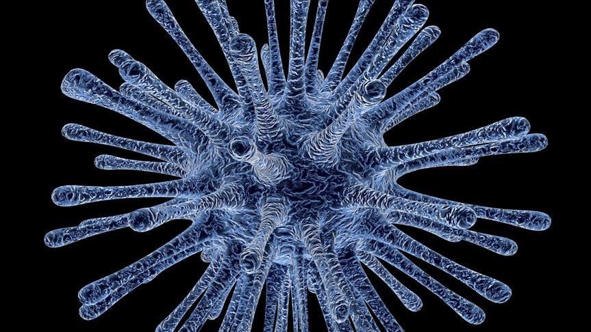 'Real risk' of 2nd wave, warn UK health experts