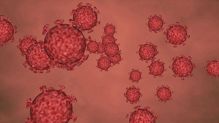 5 children have died of coronavirus in UK: Study