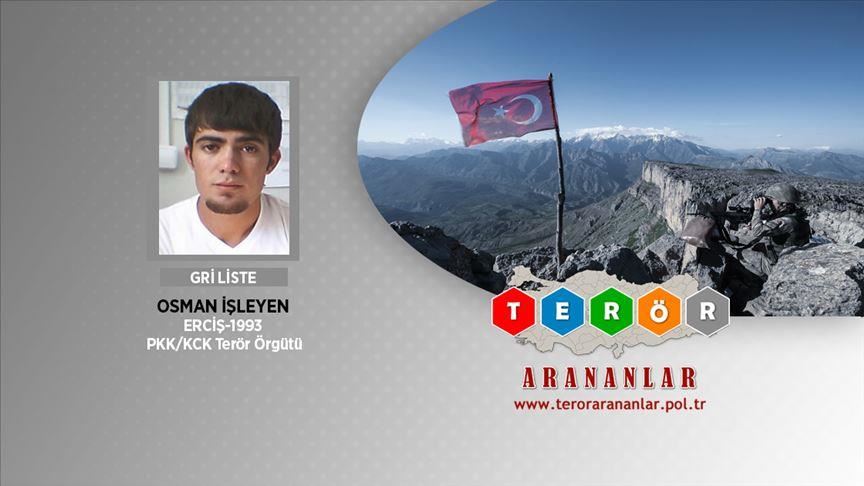 Wanted PKK terrorist among neutralized in Turkey