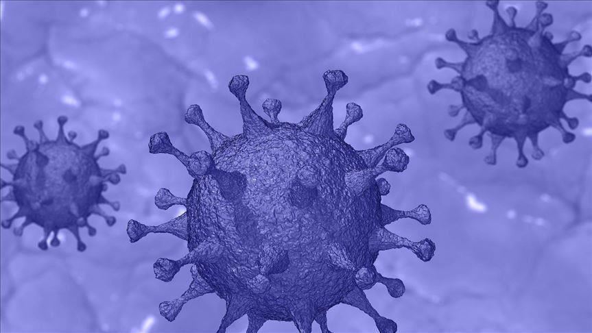 Serbia: Top politicians test positive for coronavirus