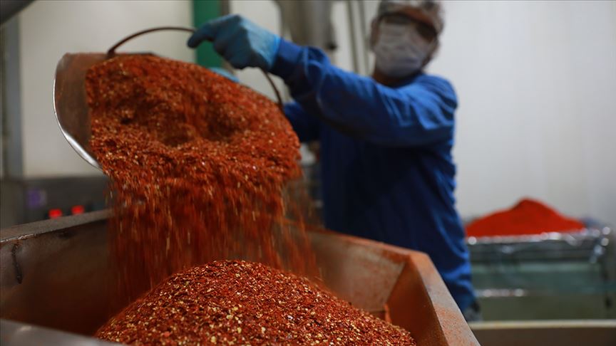 صادرات التوابل التركية تحقق 80 مليون دولار في 5 أشهر