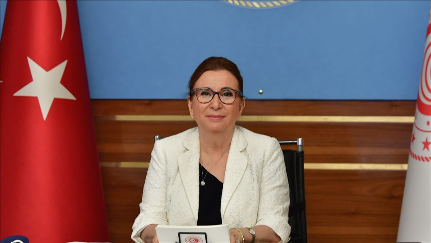 Ticaret Bakanı Pekcan: Türk Eximbank 380 milyon avro kredi sağladı