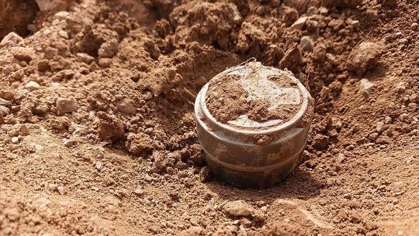 Landmine planted by Daesh injures 2 children in N. Syria