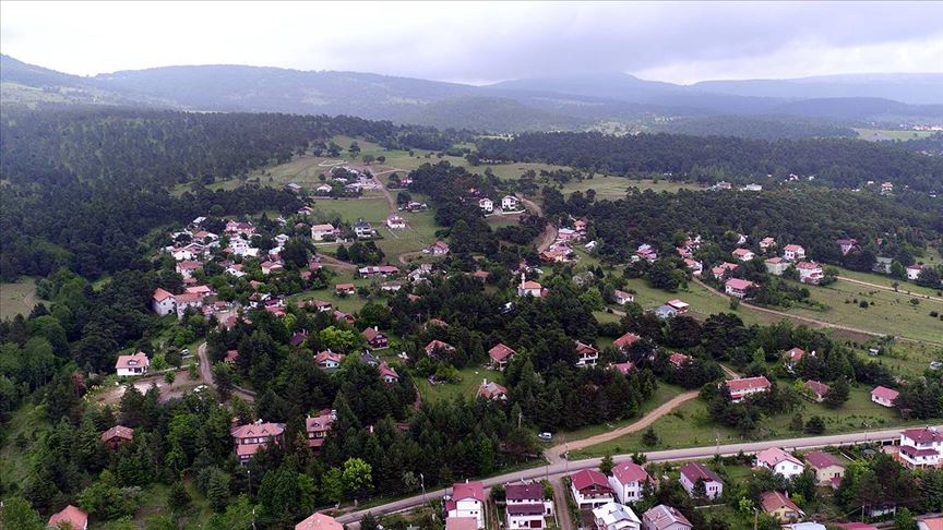 Çamiçi Yaylası'nda çam ormanının içinde doğayla baş başa tatil imkanı