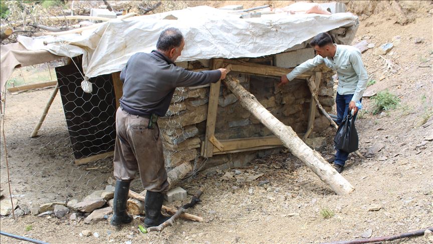 Li Şemdînliyê kûçik ketin pînika mirîşkan û 72 mirîşk xeniqandin