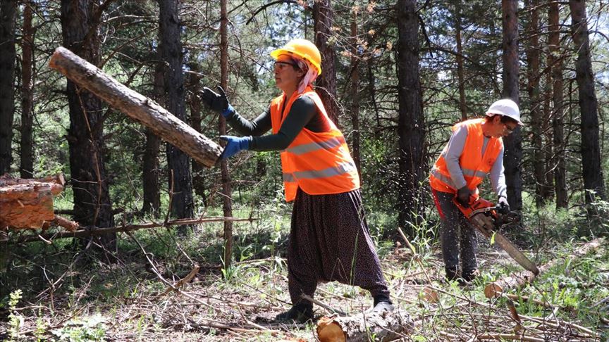 Cefakar kadınlar 'hayat müşterek' diyerek eşlerini orman işlerinde yalnız bırakmıyor