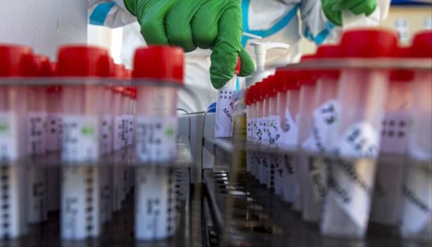 Число умерших из-за COVID-19 в Украине превысило 1,2 тыс.