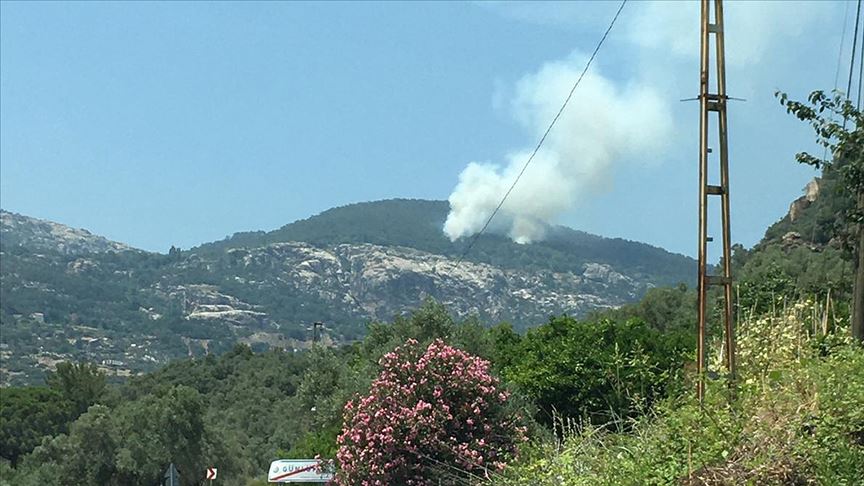 Muğla'da orman yangını