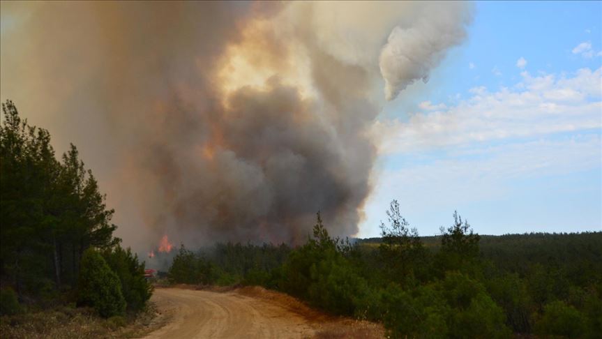 Turquie : incendie de forêt dans la péninsule de Gelibolu, dans l'ouest 