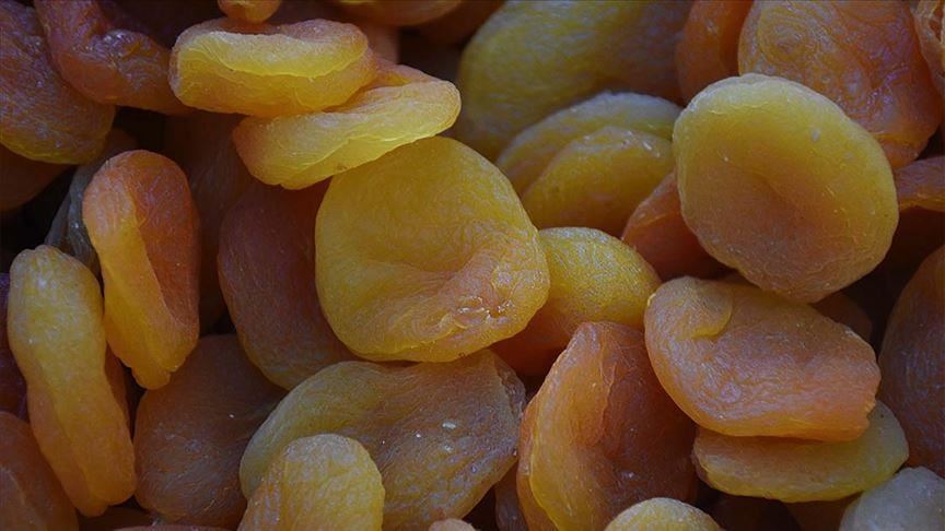 درآمد 606 5 میلیون دلاری ترکیه از صادرات میوه خشک