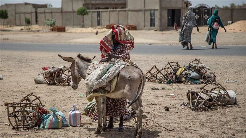 AfDB: Пандемия может подтолкнуть 49 млн африканцев к крайней нищете 