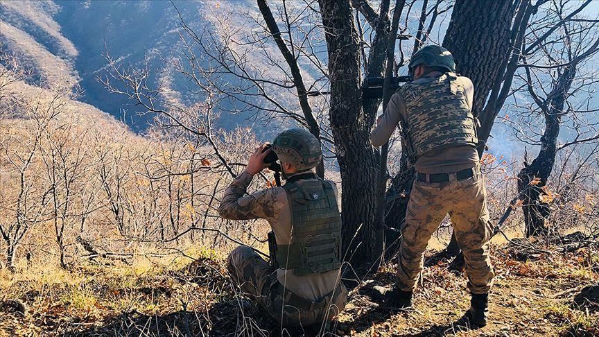 Turkish forces arrest 7 YPG/PKK terrorists in N.Syria