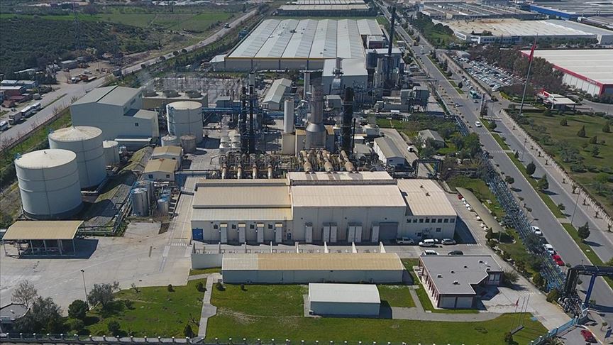 Biyokütle, Türkiye'nin yıllık elektrik tüketiminin üçte birini karşılayabilir