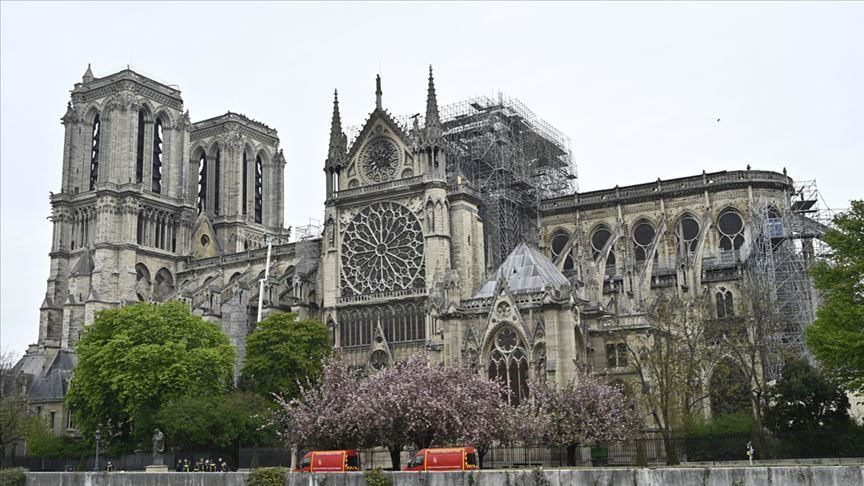France: Greenpeace drapes banner outside Notre Dame