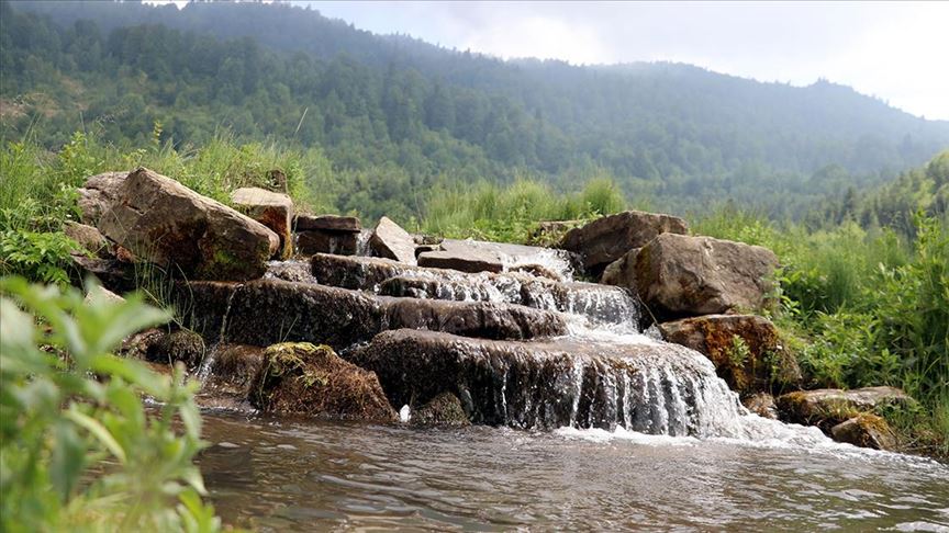 Doğaseverlerin huzur bulduğu adres: Bölüklü ve Bacaklı yaylaları