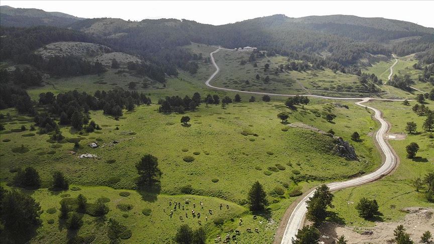 Dumanlı Yaylası izole piknik imkanı sunuyor