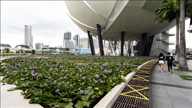 Singapura laporkan 322 kasus baru Covid-19