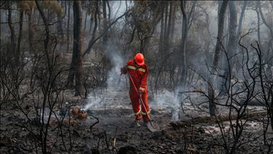 Turki ungkap kebakaran landa hutan di Pulau Heybeliada