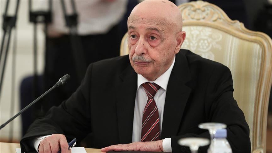 درخواست پارلمان حامی حفتر طبرق از مصر: در لیبی مداخله نظامی کنید