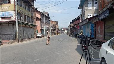 Kashmiri diaspora marks ‘Martyrs Day’