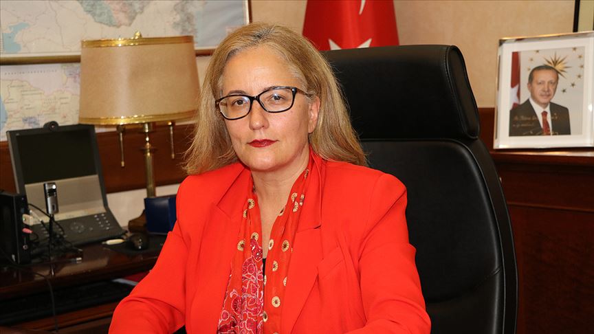 Türkiye'nin Tiflis Büyükelçisi Yazgan: FETÖ'nün Gürcistan'daki gücü gittikçe azalıyor
