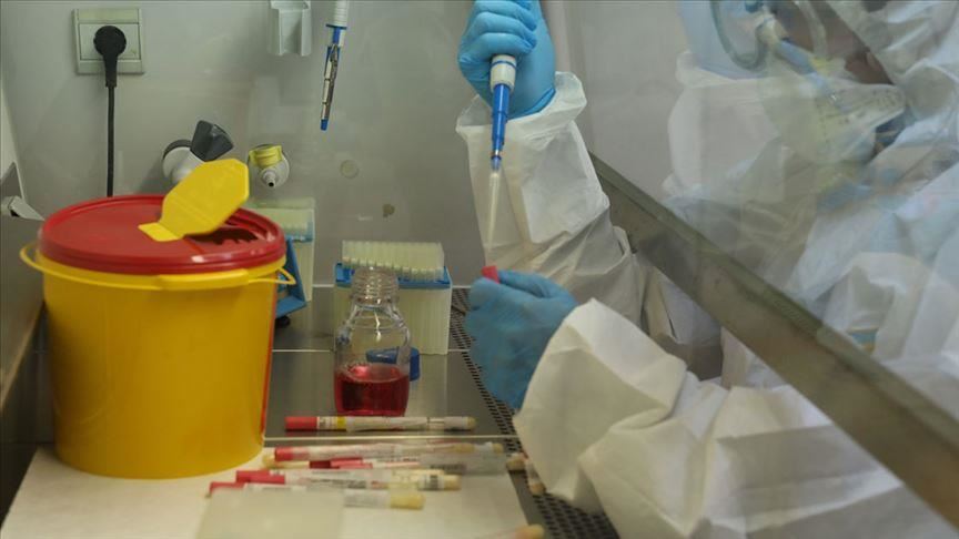 ‘Turkmenistan reports no COVID-19 case in WHO region’