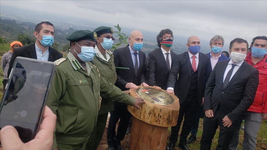 Kenya's memorial forest honors Turkish martyrs