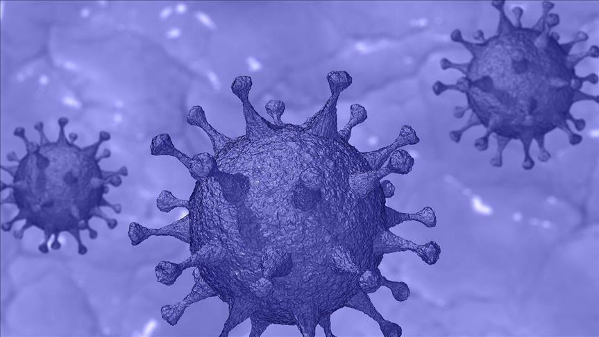 Virus cases in Bangladesh pass 200,000