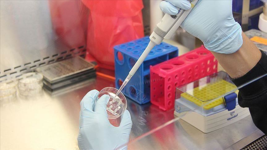 UK coronavirus antibody test found to be a success