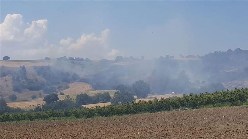 Forest fire hits northwestern Turkey