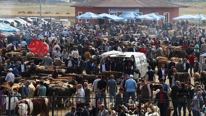 Sewqkirina heywanên qurbanê bo bajarên mezin zêde bû