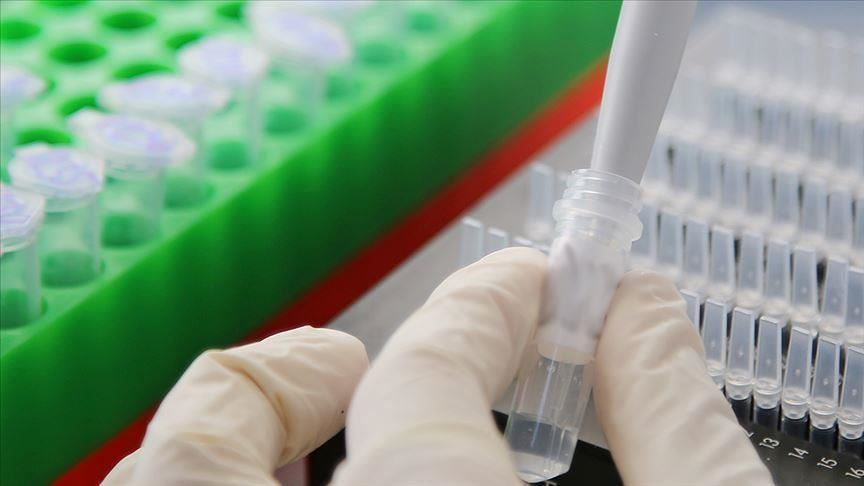 S.Africa hijacked virus samples spurs biohazard alert