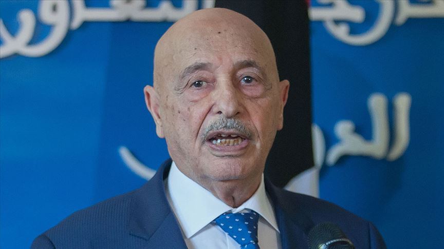 ABD Büyükelçisi, Hafter yanlısı Temsilciler Meclisi Başkanı Salih'le 'petrol üretimini' görüştü