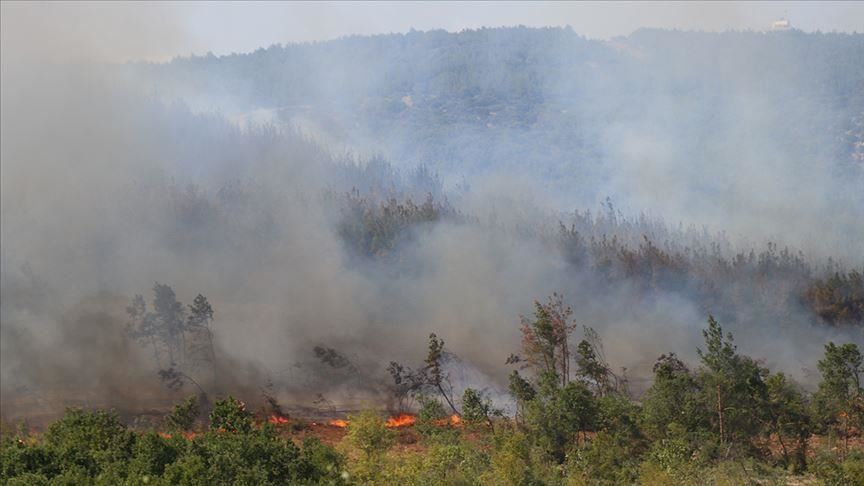 Forest fire erupts in northwestern Turkey
