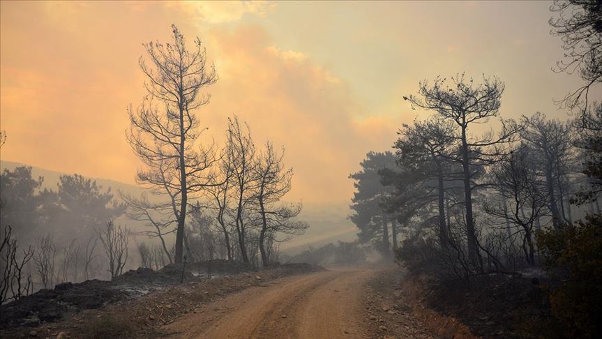 Organización Meteorológica Mundial: excepcional ola de calor en Siberia provoca incendios devastadores en el Ártico