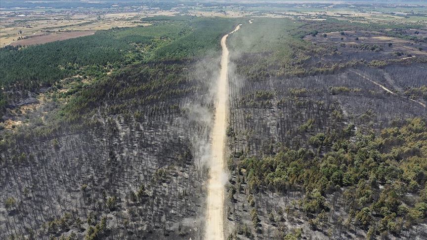 Edirne'deki orman yangını bölgesindeki soğutma çalışması sürüyor