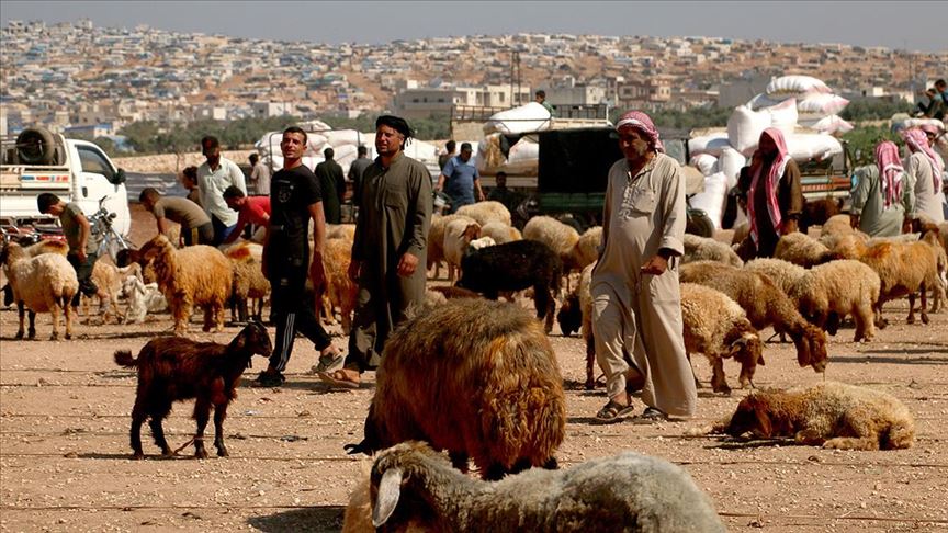 في إدلب.. السوريون يفتقدون الأضاحي بعيد الأضحى