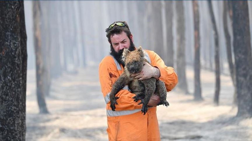 Nearly 3 billion animals affected by Australia bushfire