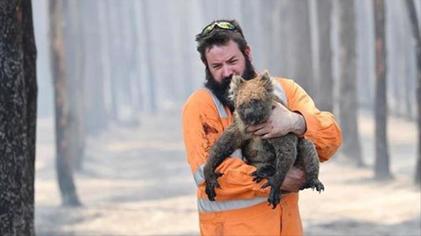 Речиси 3 милијарди животни се погодени од пожарите во Австралија 